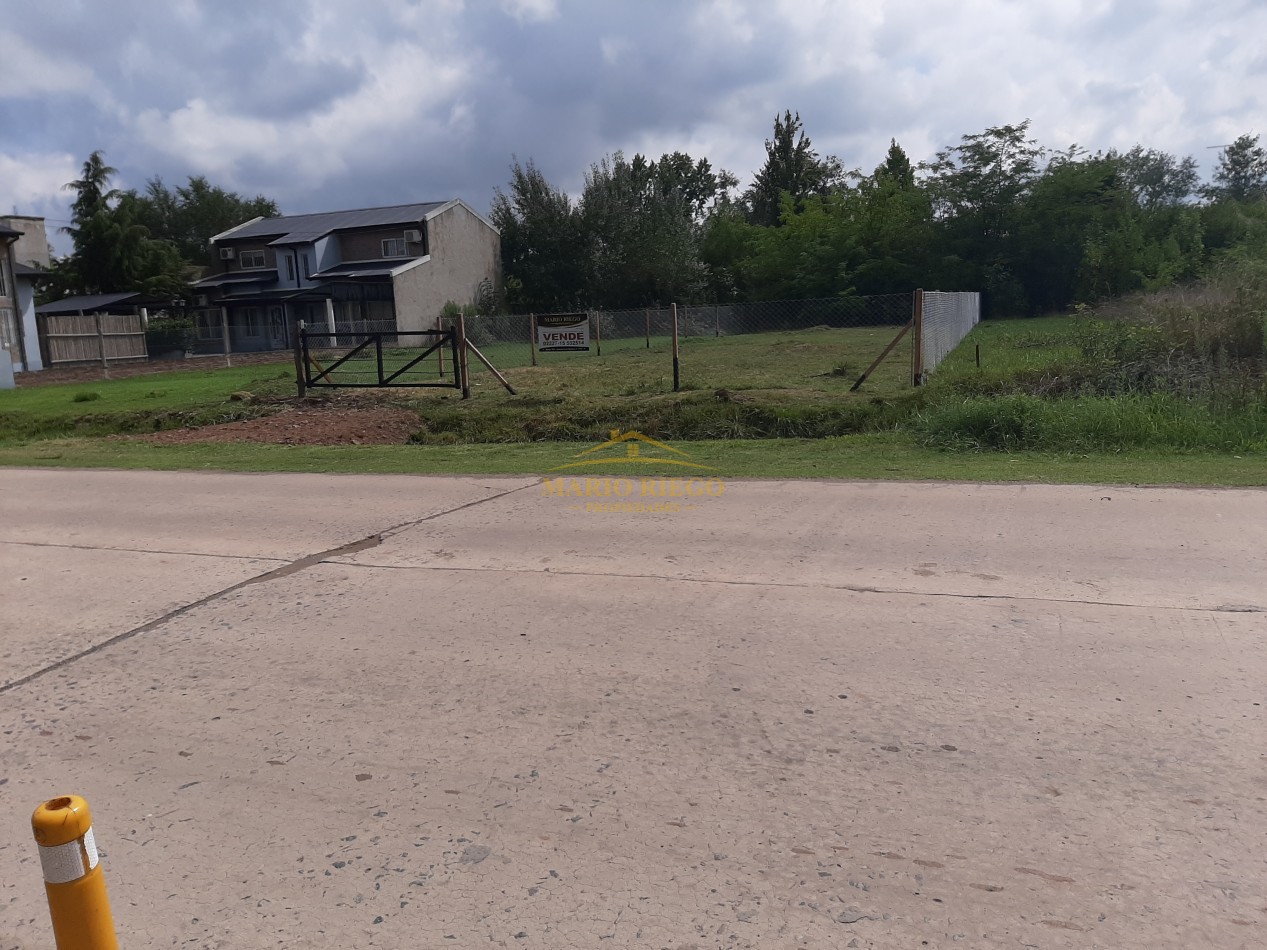 VENTA: EXCELENTE TERRENO EN AVENIDA