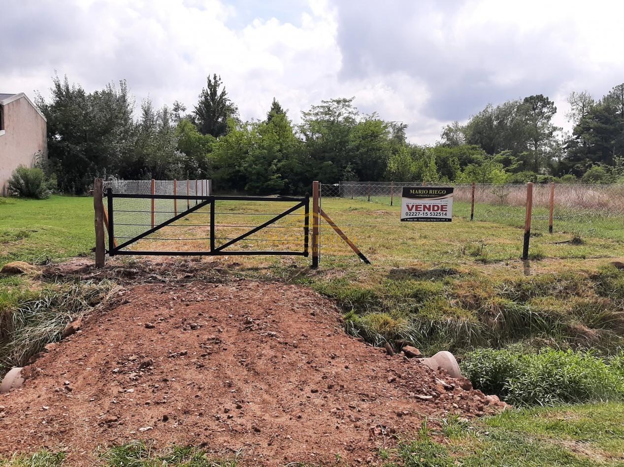 VENTA: EXCELENTE TERRENO EN AVENIDA
