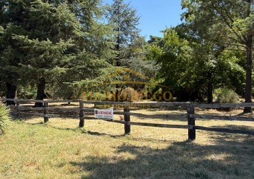 VENTA: 2 EXCELENTES PARCELAS CON UNA MAGNIFICA FORESTACION  BARRIO SAN JOSE . (General Hornos, Gral. Las Heras). SOBRE RUTA PROVINCIAL N°40